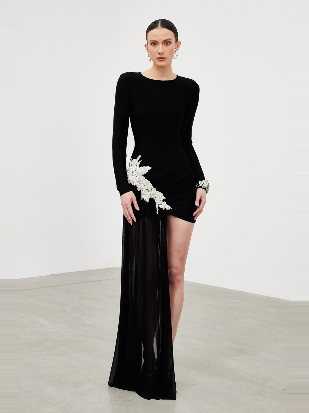 Ichirou Long Sleeve Embroidered Mesh Mini Dress — Svelte Chic