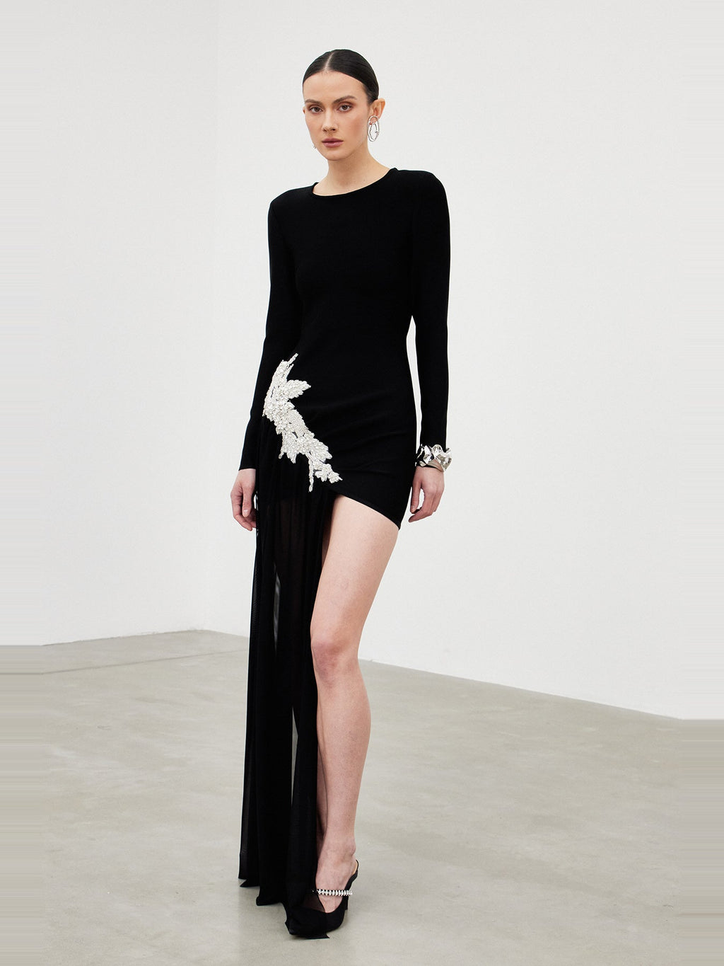 Ichirou Long Sleeve Embroidered Mesh Mini Dress — Svelte Chic