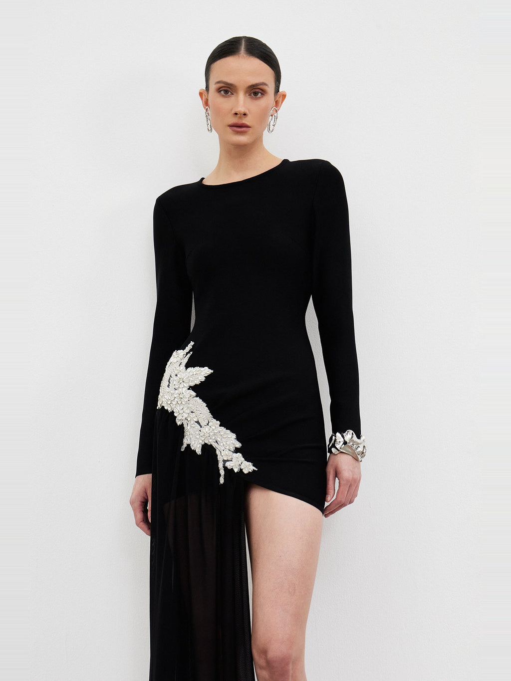 Ichirou Long Sleeve Embroidered Mesh Mini Dress — Svelte Chic