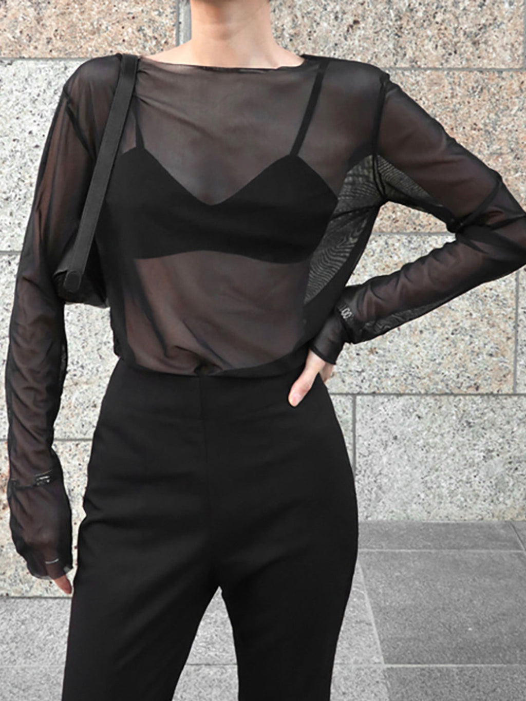 Sheer Mesh Long Sleeve Top — Black in Black — Svelte Chic