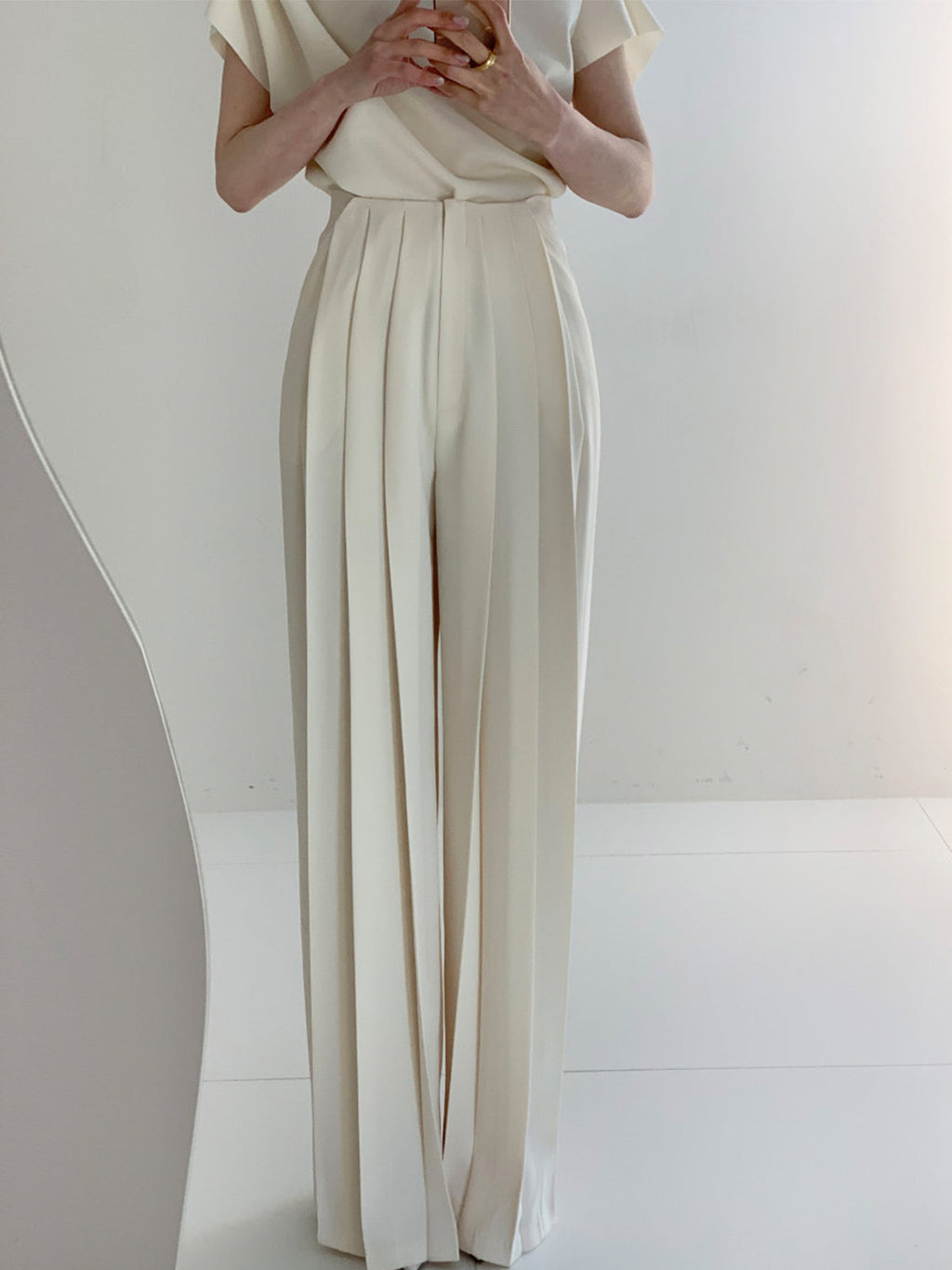 Pleated High Waist Wide Leg Trousers — Svelte Chic