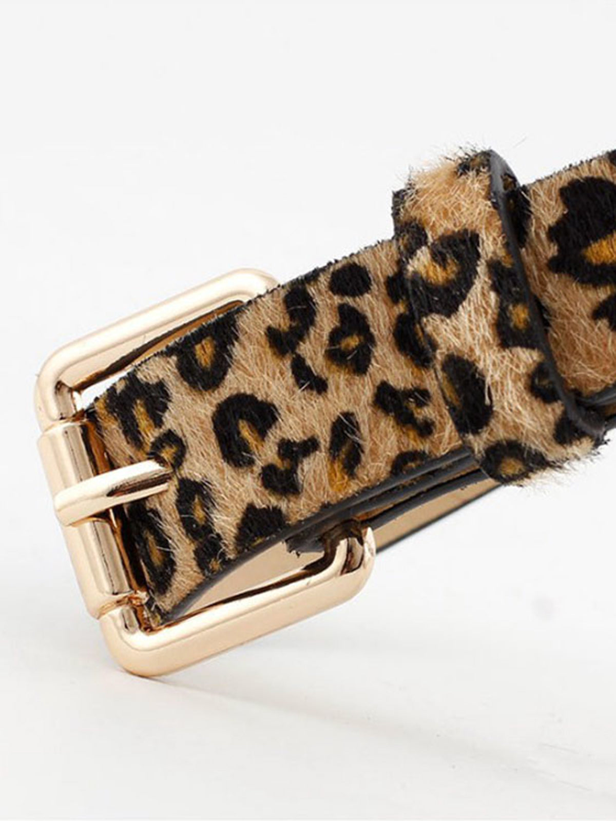 Leopard Print Waist Belt — Gold Buckle — Svelte Chic