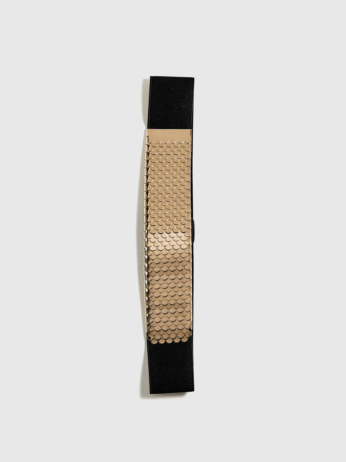 Elastic Fish Scale Belt — Svelte Chic