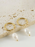 Hoop Pearl Drop Earrings in Gold — Svelte Chic