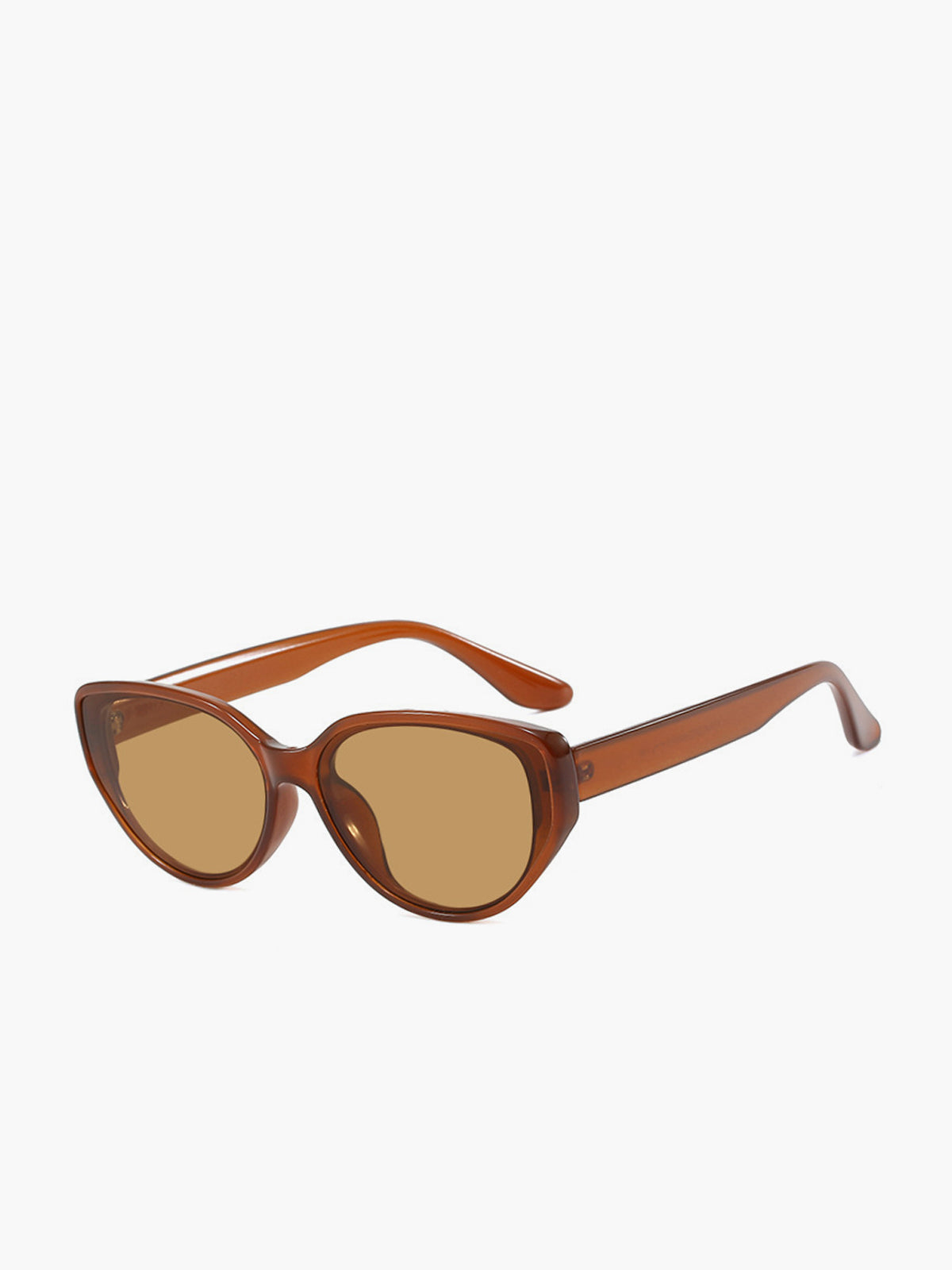 Retro Cat Eye Sunglasses in Brown in Brown — Svelte Chic