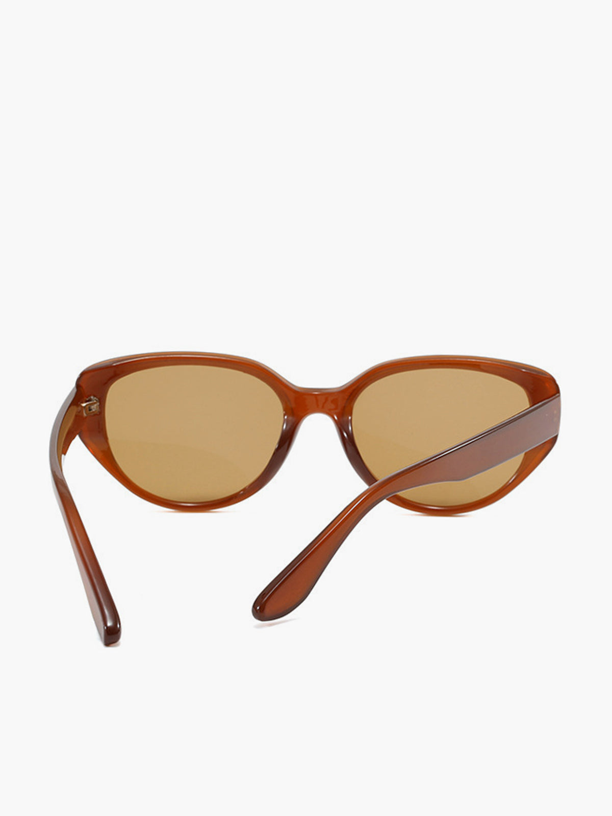 Retro Cat Eye Sunglasses in Brown — Svelte Chic