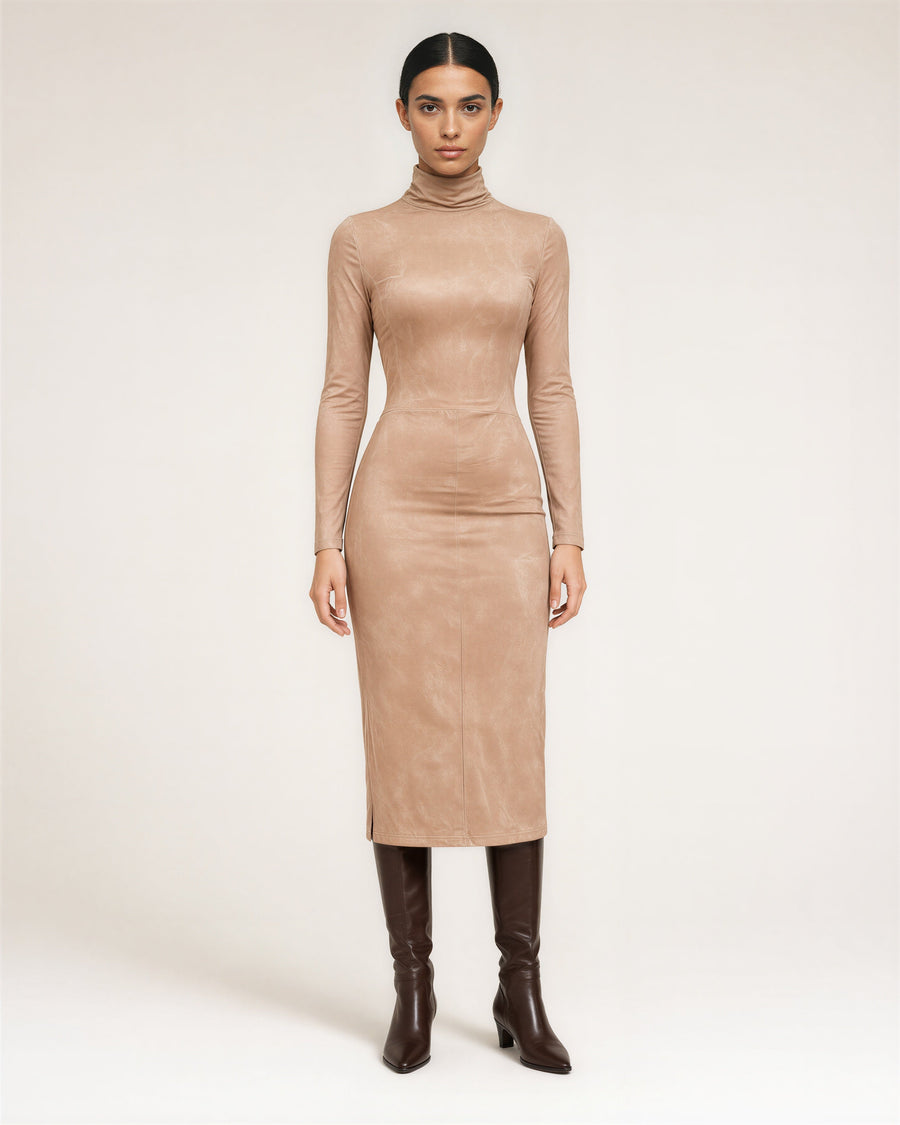 Mirta Turtleneck Dress